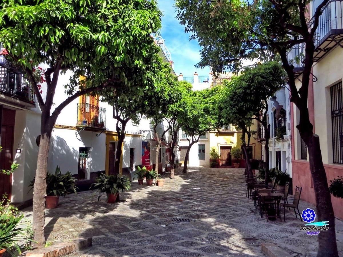 Wish Suite Juderia De Sevilla エクステリア 写真