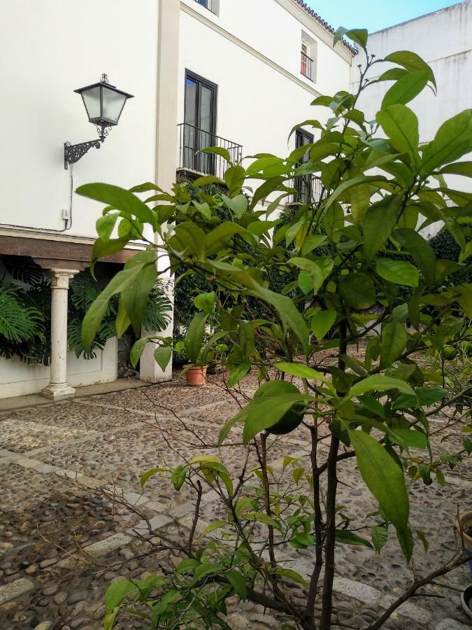 Wish Suite Juderia De Sevilla エクステリア 写真