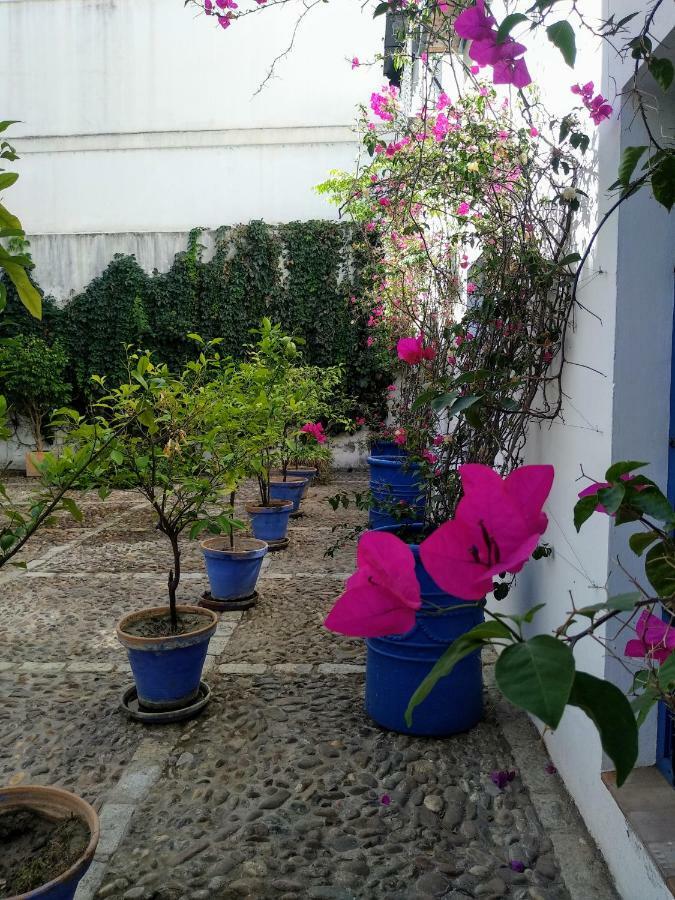 Wish Suite Juderia De Sevilla エクステリア 写真
